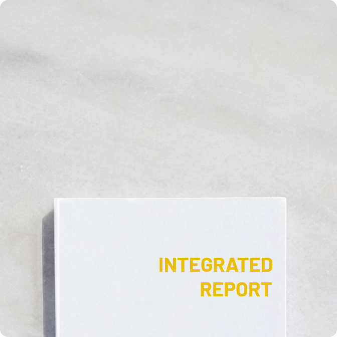 INTEGRATED REPORT